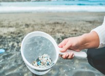 Ô nhiễm nhựa ở đại dương – Sự kiện và số liệu thống kê năm 2025