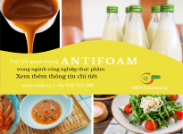 Nhựa sinh học từ tinh bột có độc không? Nghiên cứu mới đặt lại câu hỏi về “an toàn” và “bền vững”